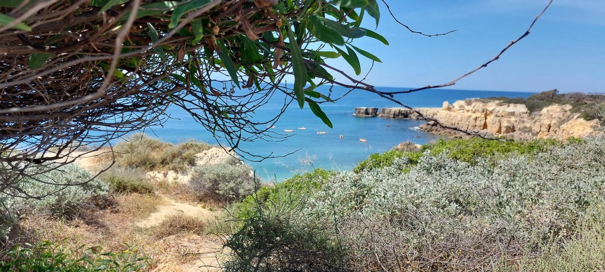 Baia Village - Praia Do Castelo - Gale - אלבופיירה מראה חיצוני תמונה